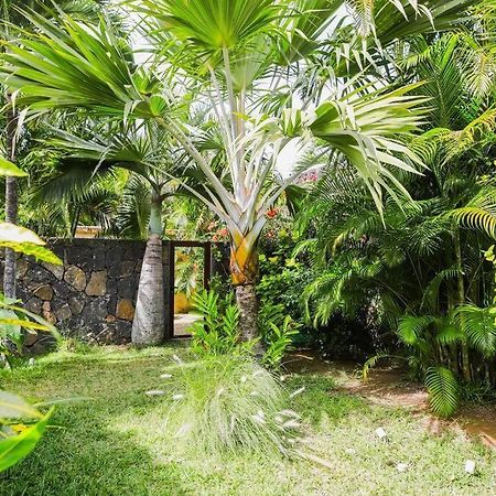Villa Tropicale Balinaise Intimiste Grand Bay Buitenkant foto