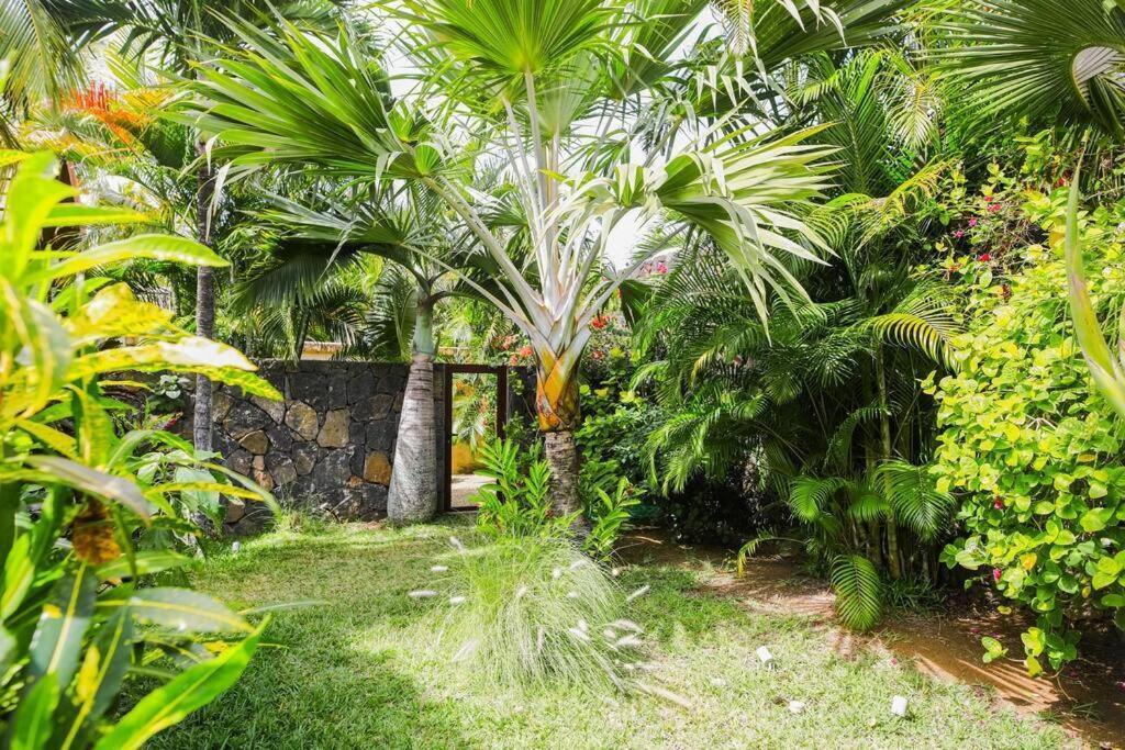 Villa Tropicale Balinaise Intimiste Grand Bay Buitenkant foto