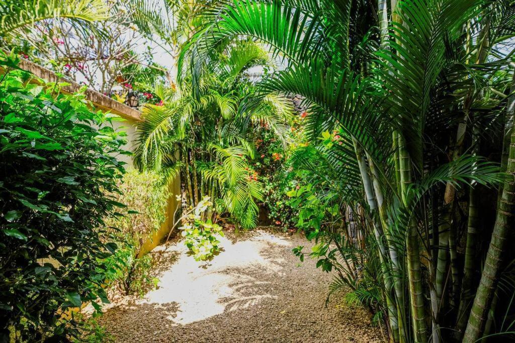Villa Tropicale Balinaise Intimiste Grand Bay Buitenkant foto